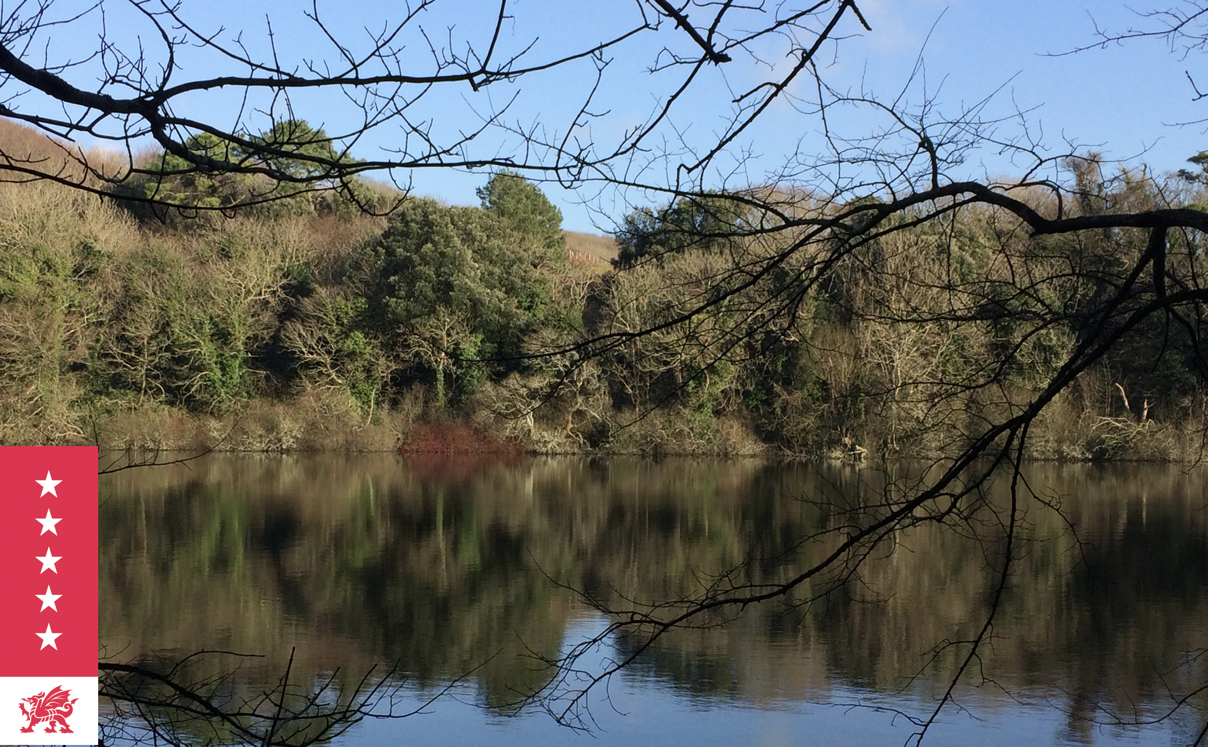 Bosherston Lily Ponds circular walks in Pembrokeshire